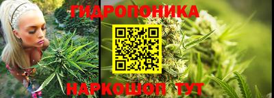гидра Ливны