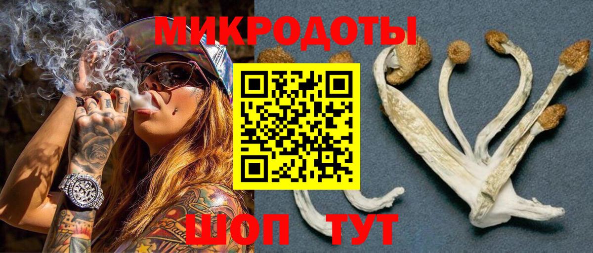 Псилоцибиновые грибы мицелий  Вход с VPN  Псилоцибиновые грибы Psilocybine cubensis  Волжск 